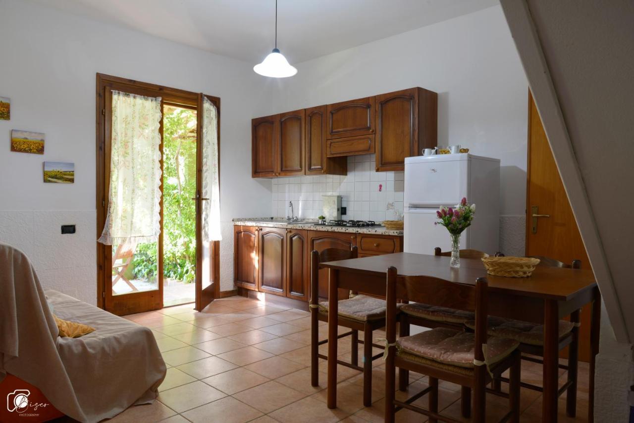 Casa Verde Country House Apartment Montescudaio Bagian luar foto