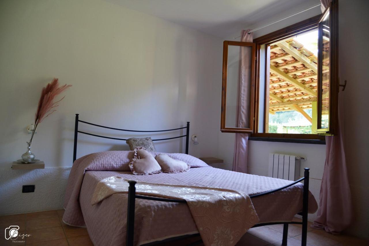 Casa Verde Country House Montescudaio Bagian luar foto