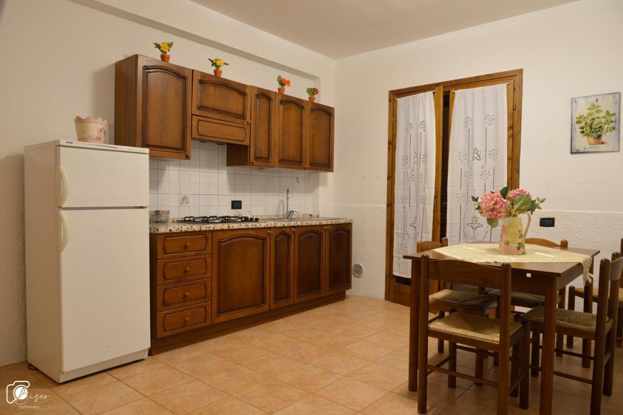 Casa Verde Country House Apartment Montescudaio Bagian luar foto