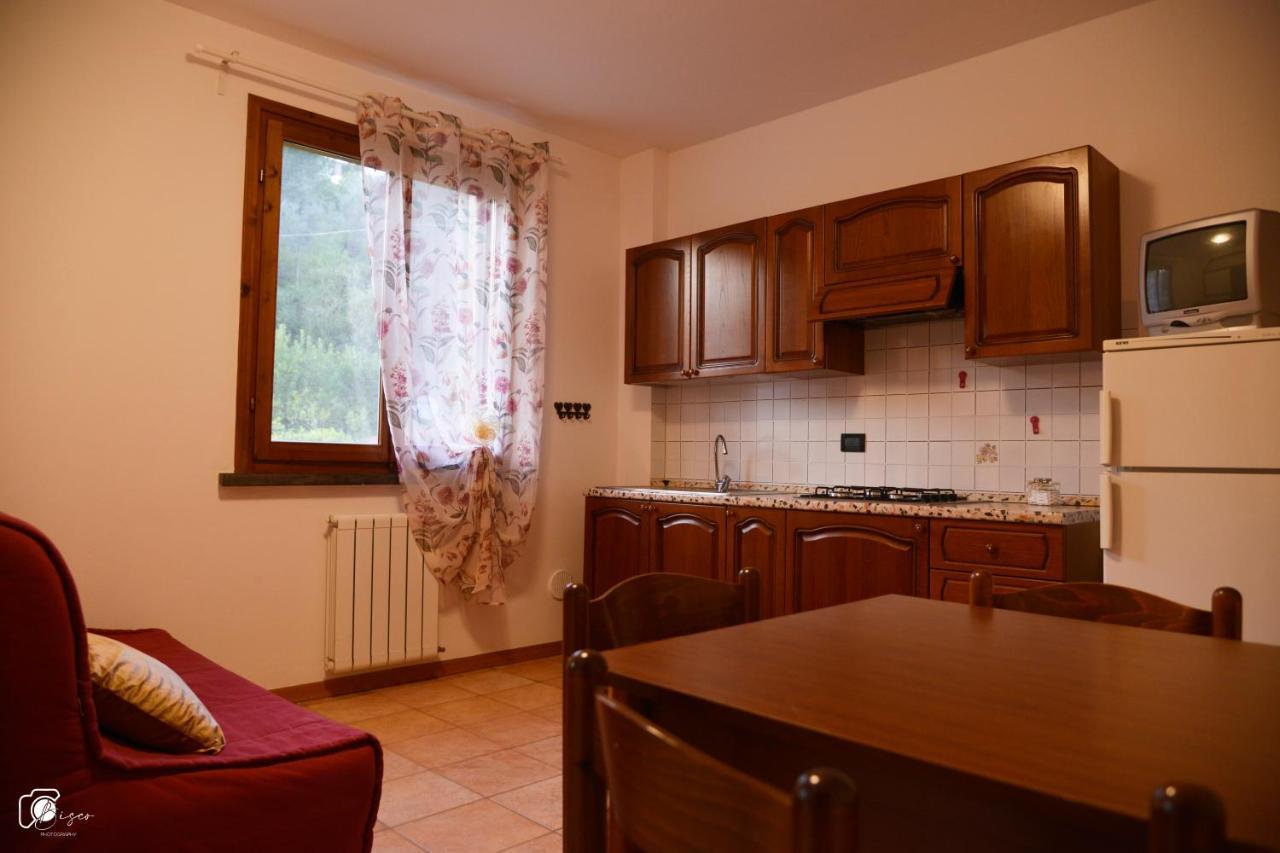 Casa Verde Country House Apartment Montescudaio Bagian luar foto