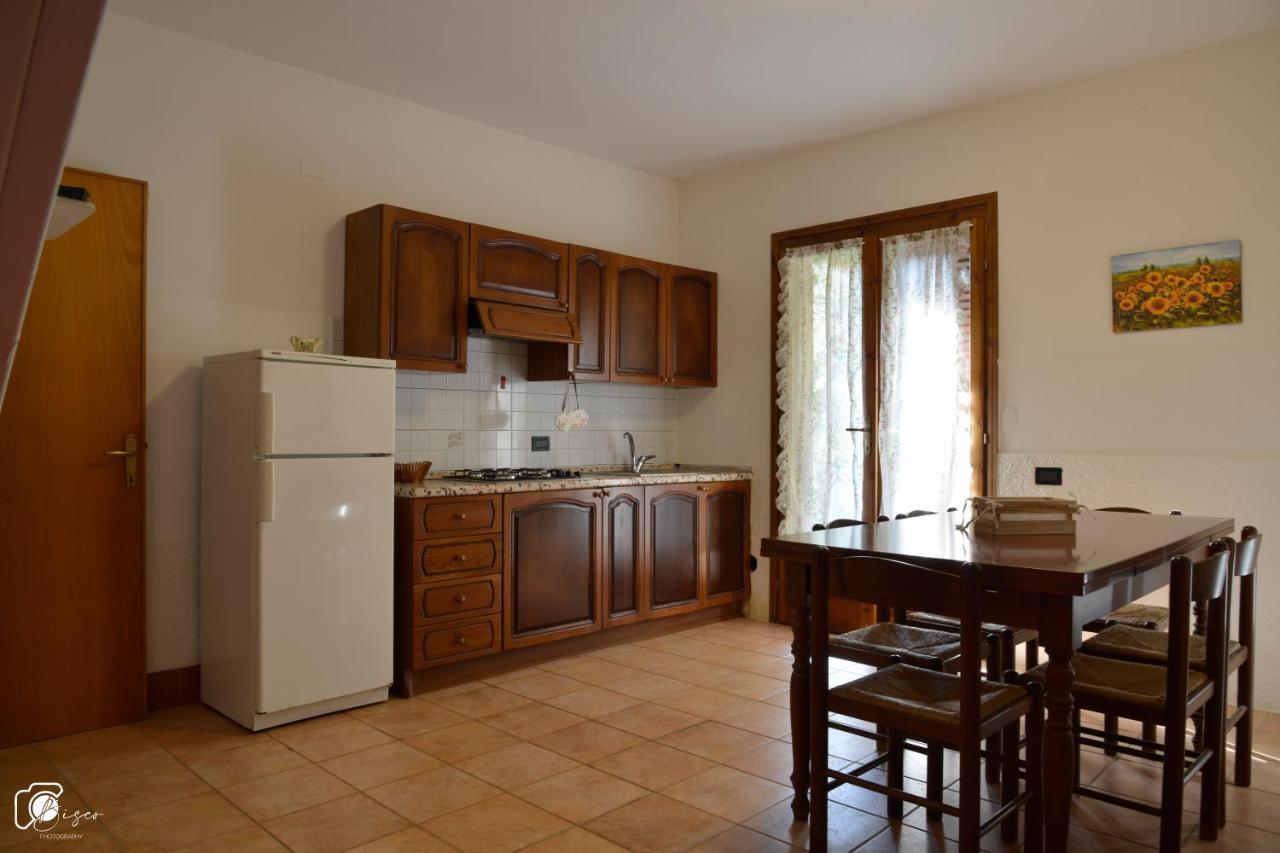 Casa Verde Country House Apartment Montescudaio Bagian luar foto