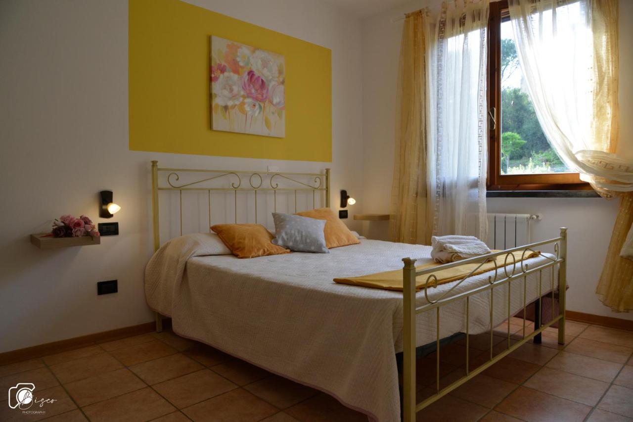 Casa Verde Country House Apartment Montescudaio Bagian luar foto