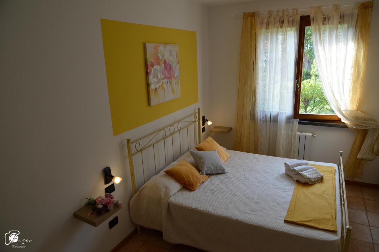 Casa Verde Country House Montescudaio Bagian luar foto