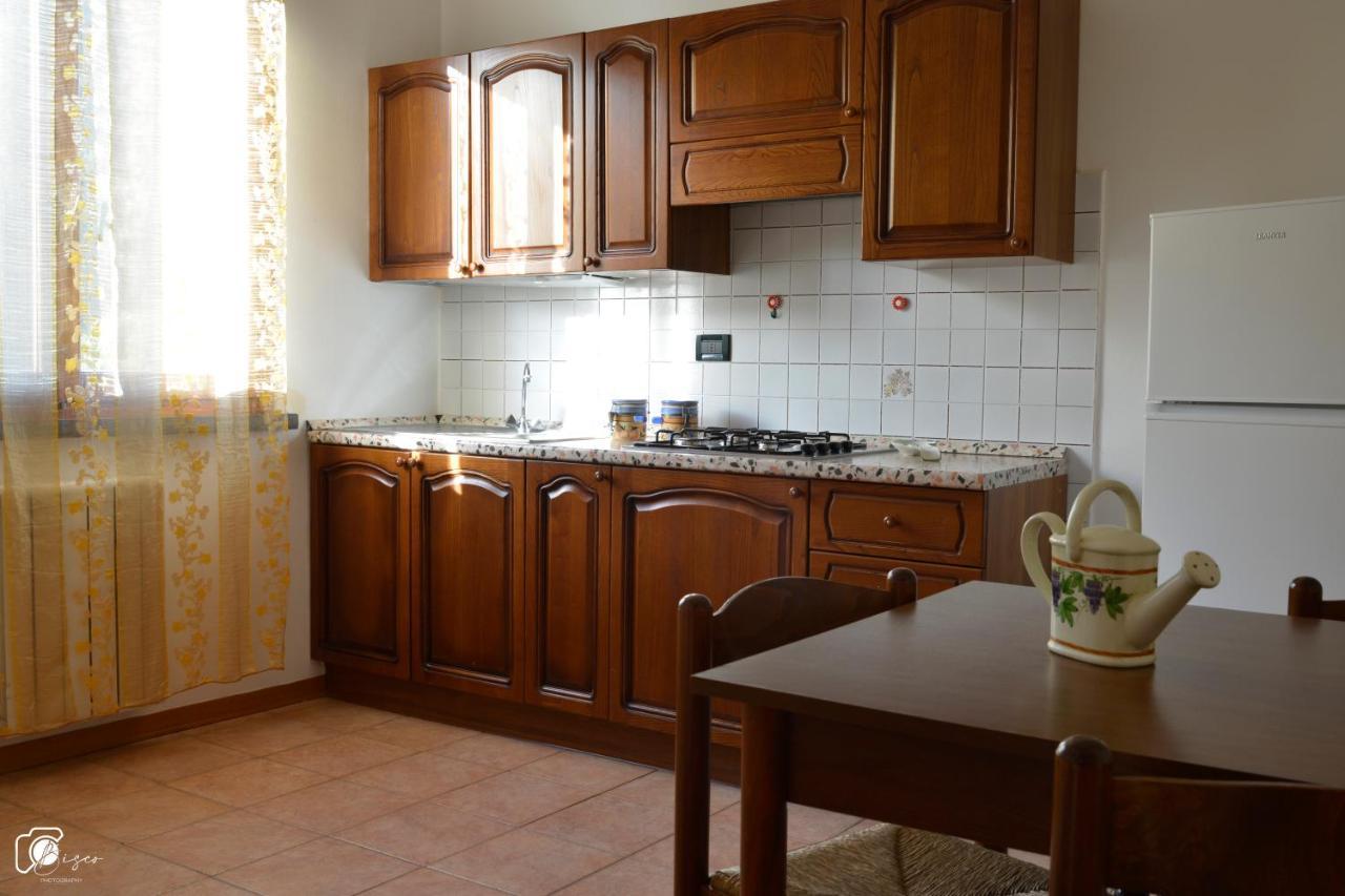 Casa Verde Country House Apartment Montescudaio Bagian luar foto