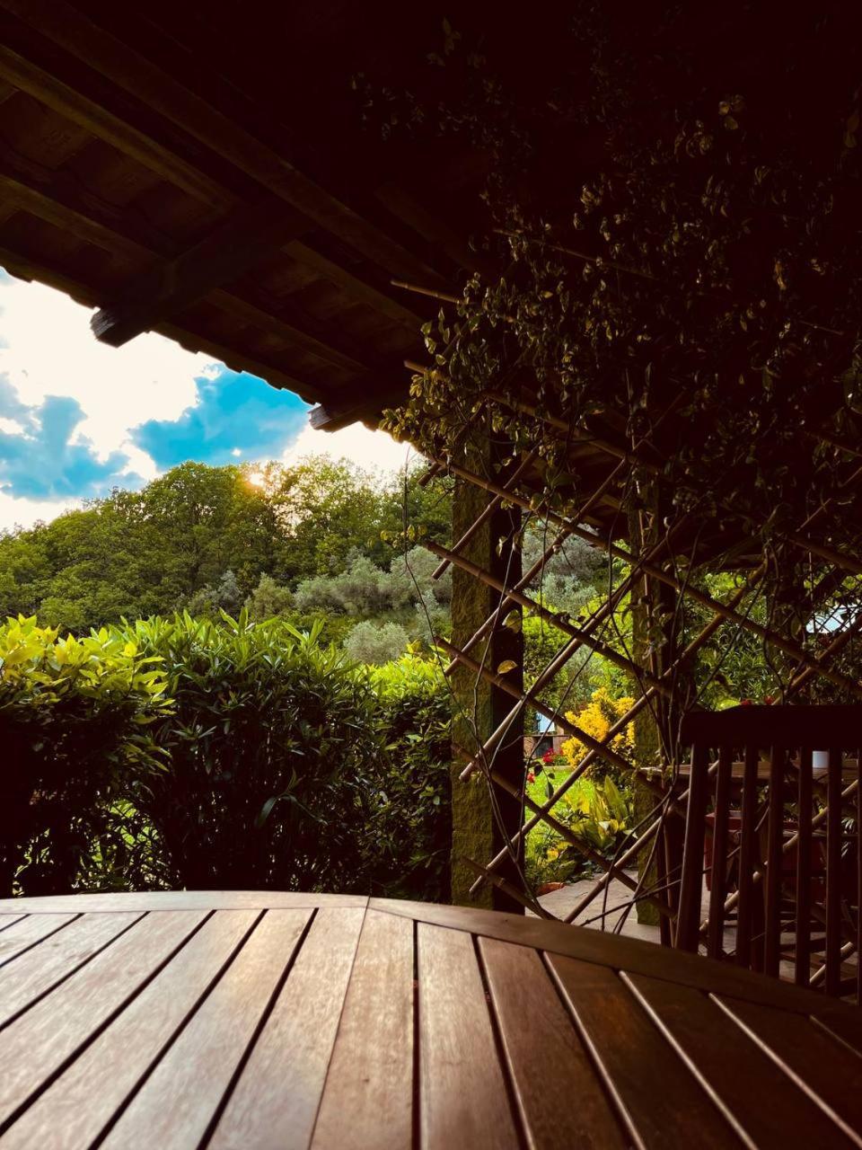 Casa Verde Country House Montescudaio Bagian luar foto
